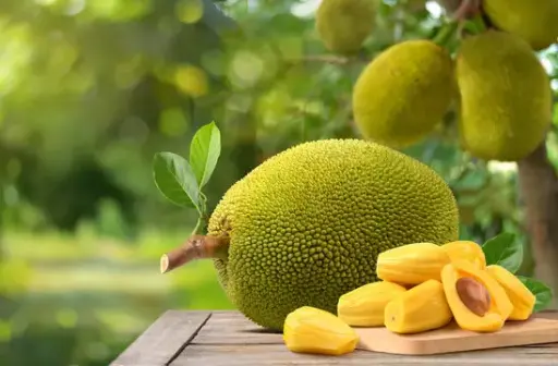 Jack Fruit - 1 Piece