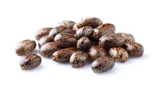 Castor seeds - 1 kg
