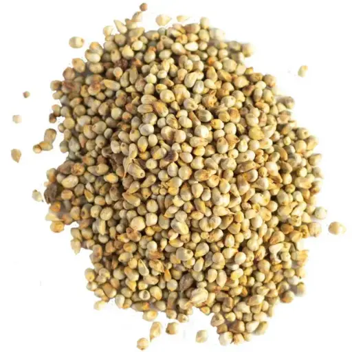 Pearl Millet - 500 gm